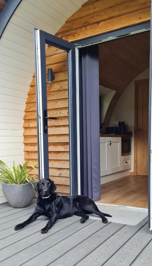 Habberley Glamping Pods Hotell Shrewsbury Eksteriør bilde